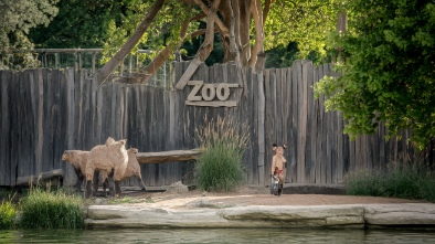 denver zoo