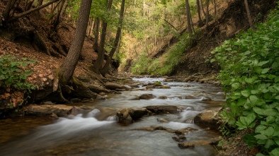 second creek trail